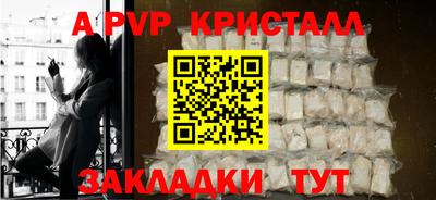эйфоретик Тара