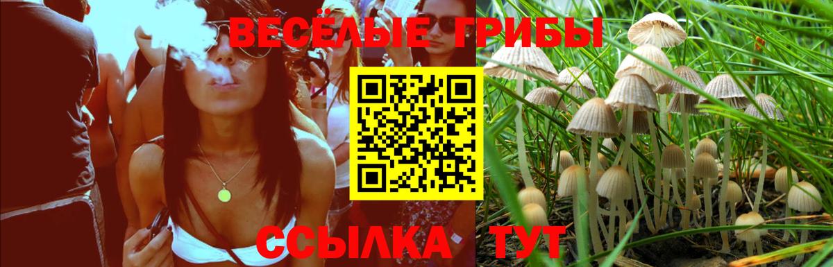 Осинники  купить закладку  Вход с VPN  Псилоцибиновые грибы GOLDEN TEACHER 